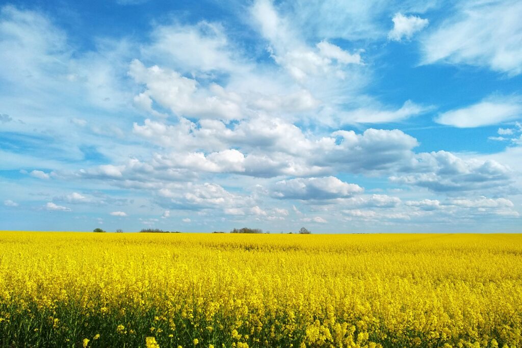 癒される風景